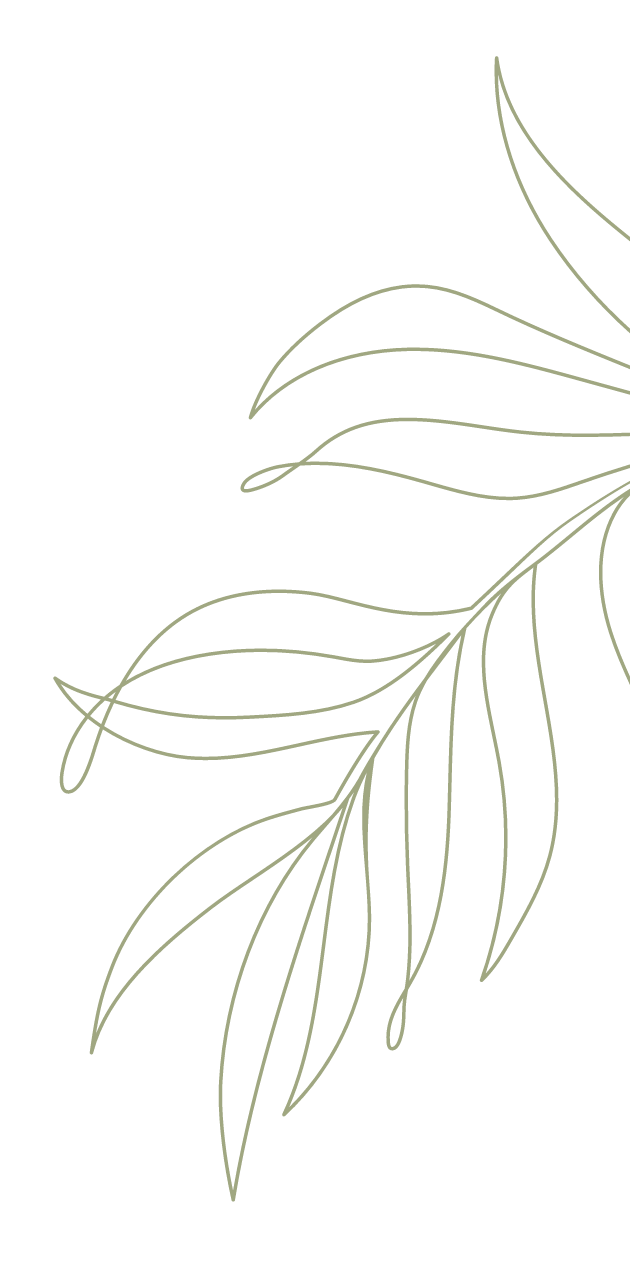 health-plant