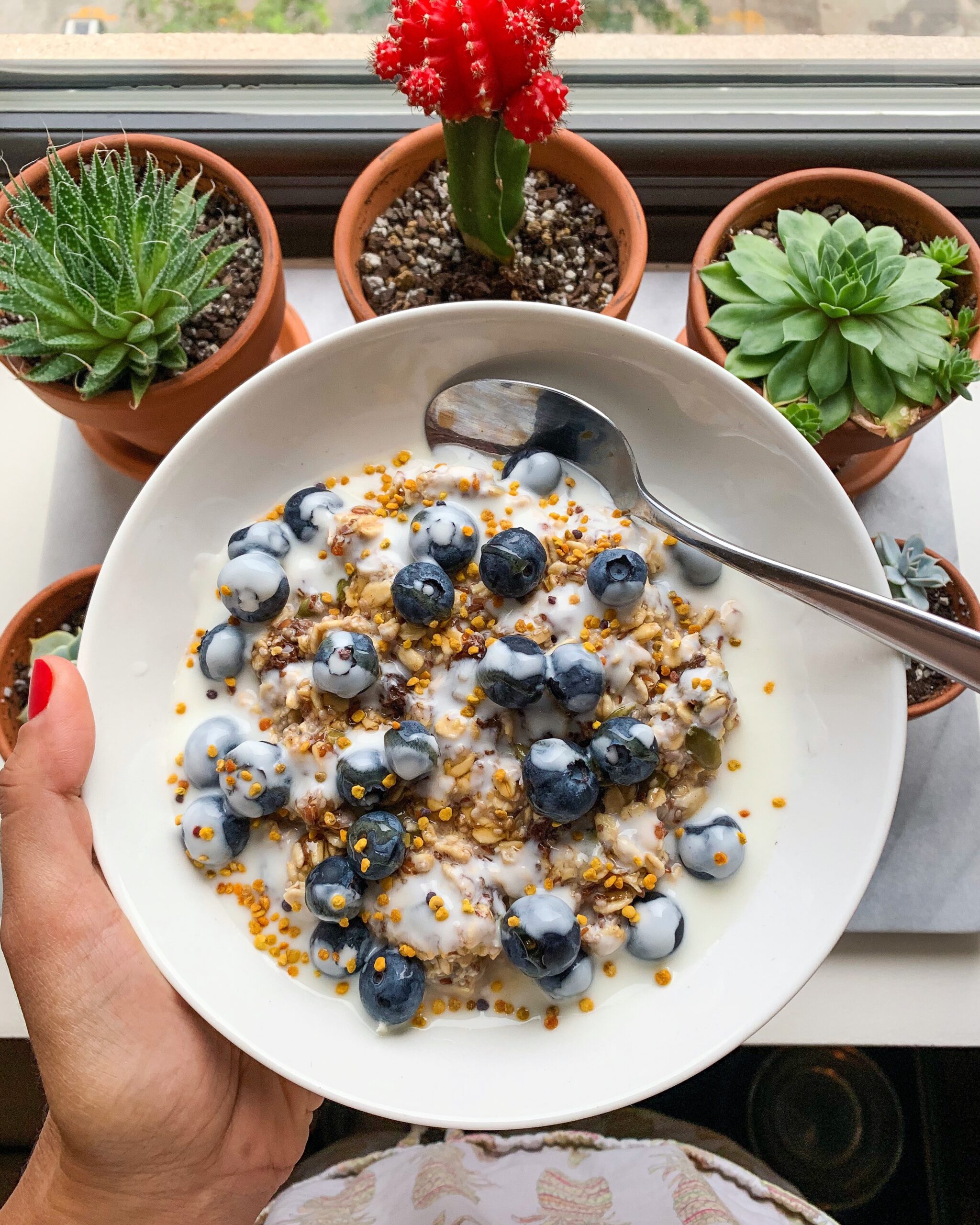 bowl of blueberry overnight oats