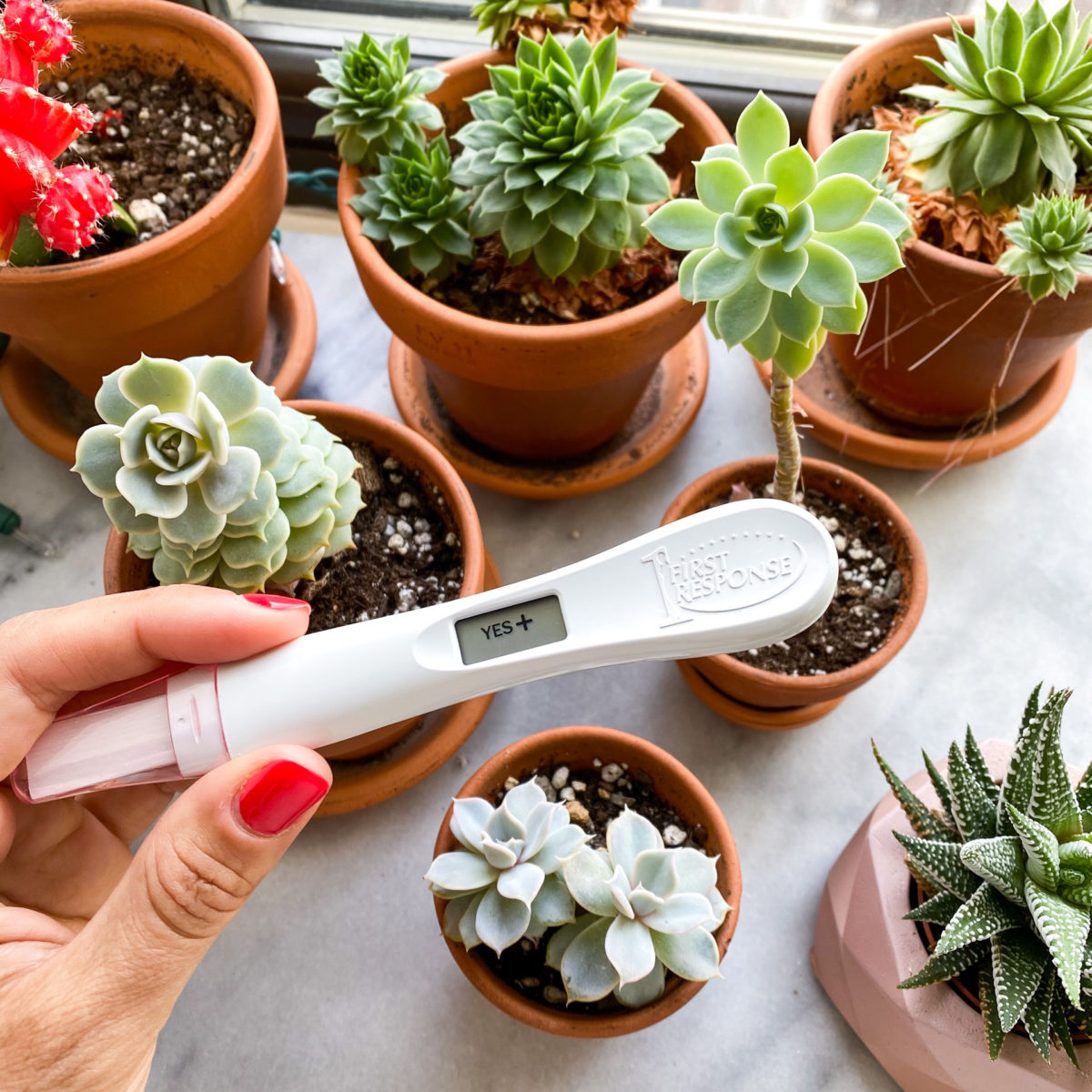 positive pregnancy stick