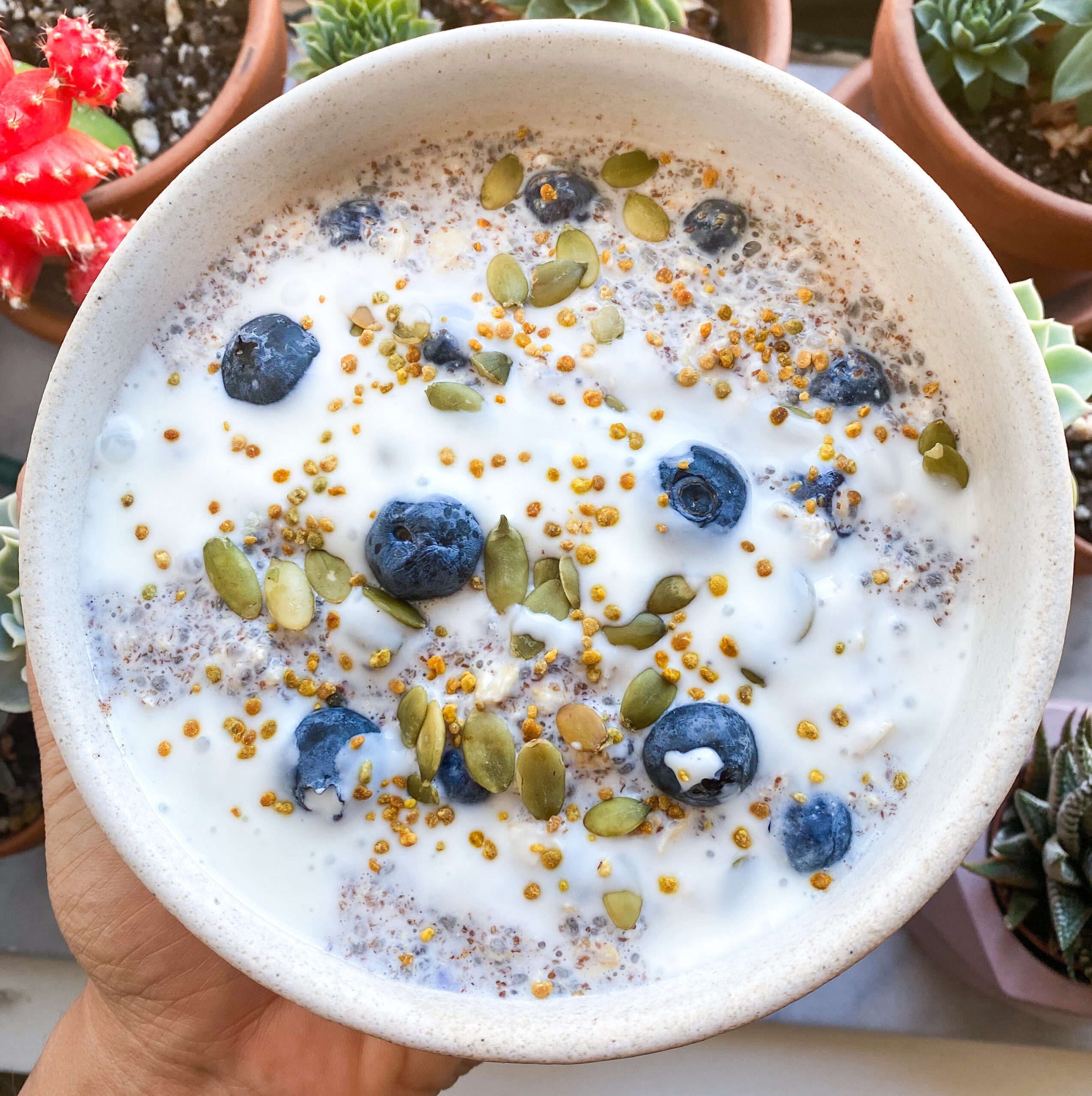 bowl of bluberry overnight oats